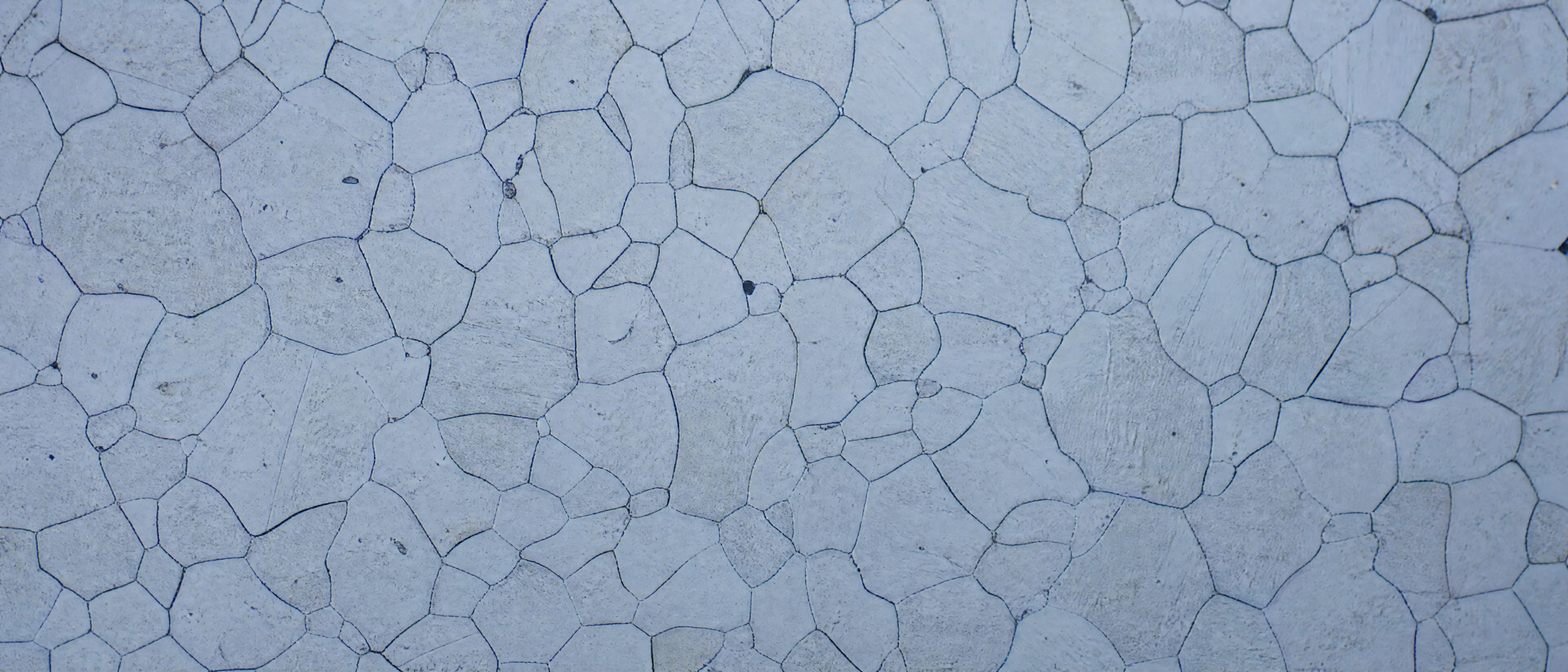 Metallografisches Gefügebild mit Korngrenzen